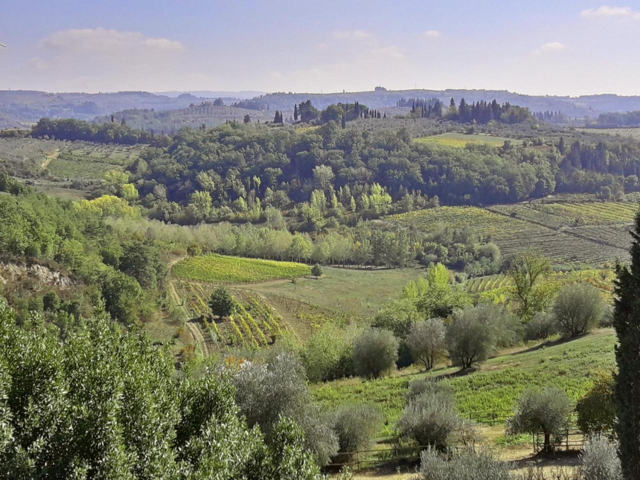 Agriturismo Villa Gorgognano Черталдо Екстериор снимка